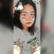 Dream555